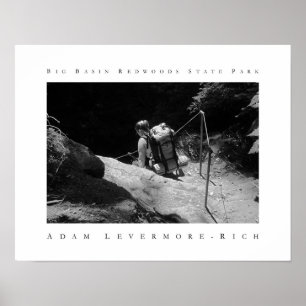 Redwoods Staat Park Poster