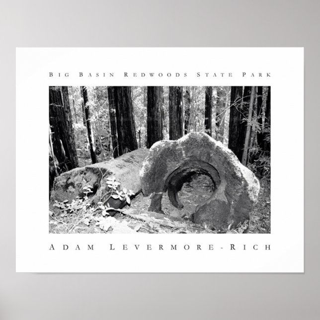 Redwoods Staat Park Poster (Vorne)
