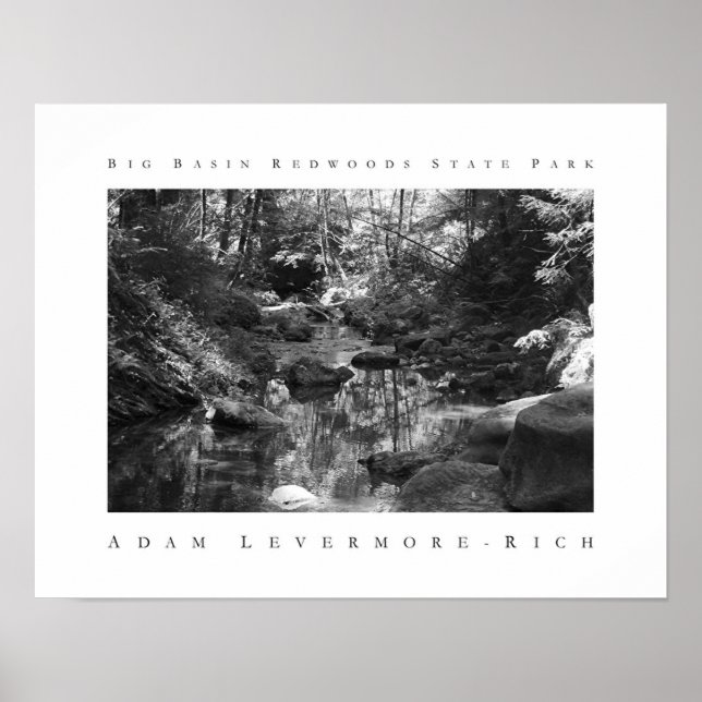 Redwoods Staat Park Poster (Vorne)