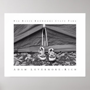 Redwoods Staat Park Poster