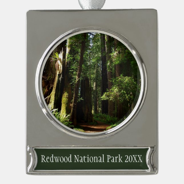 Redwoods und Ferns im Redwood-Nationalpark Banner-Ornament Silber (Vorderseite)