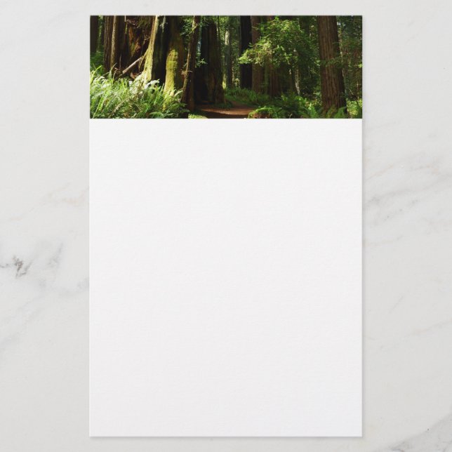 Redwoods und Ferns im Redwood-Nationalpark Briefpapier (Vorderseite)