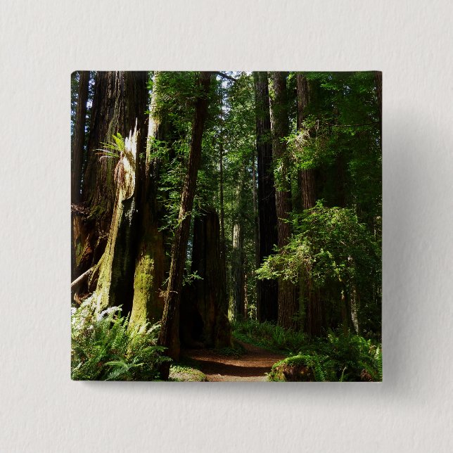 Redwoods und Ferns im Redwood-Nationalpark Button (Vorderseite)