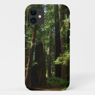 Redwoods und Ferns im Redwood-Nationalpark Case-Mate iPhone Hülle