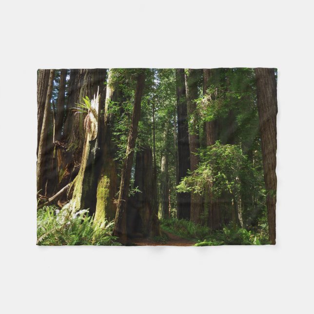 Redwoods und Ferns im Redwood-Nationalpark Fleecedecke (Vorderseite (Horizontal))