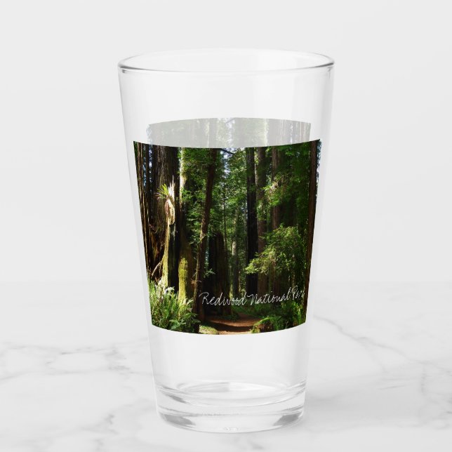 Redwoods und Ferns im Redwood-Nationalpark Glas (Vorderseite)