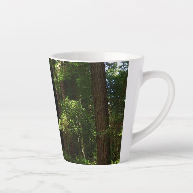 Redwoods und Ferns im Redwood-Nationalpark Milchtasse (Rechts)