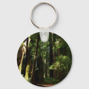Redwoods und Ferns im Redwood-Nationalpark Schlüsselanhänger