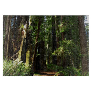 Redwoods und Ferns im Redwood-Nationalpark Schneidebrett