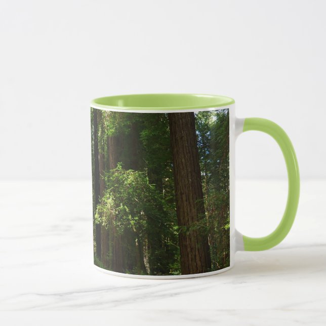 Redwoods und Ferns im Redwood-Nationalpark Tasse (Rechts)