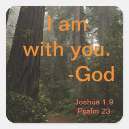 Redwoods Wanderweg Quadratischer Aufkleber