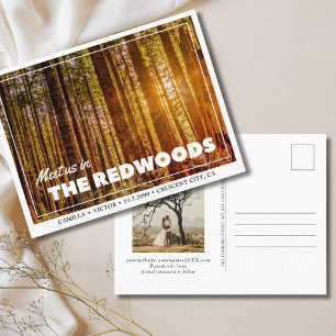 Redwoods Wedding the Date Postcard Postkarte