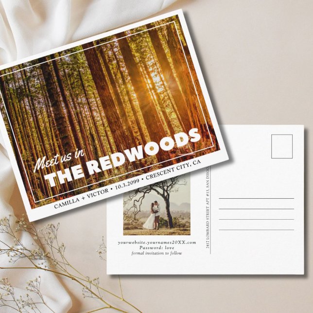 Redwoods Wedding the Date Postcard Postkarte (redwoods national park wedding save the date)