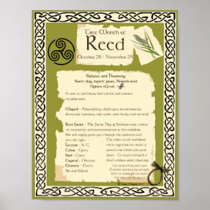REED CELTIC SACRED TREM POSTER