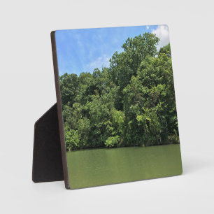 Reed Creek, Wytheville, Virginia Fotoplatte