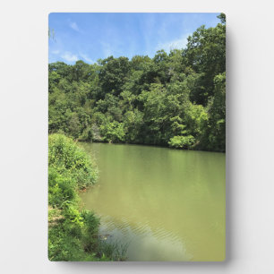 Reed Creek, Wytheville, Virginia Fotoplatte