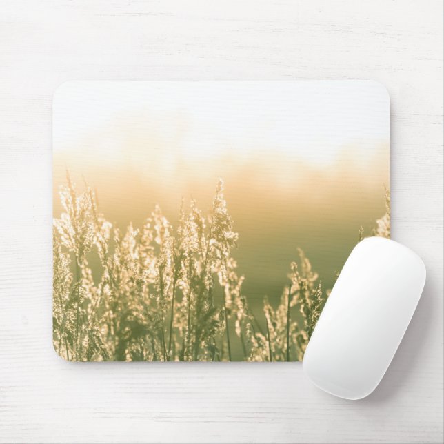Reed Sunset Nature Foto Mousepad (Mit Mouse)