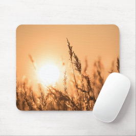 Reed Sunset Nature Foto Mousepad