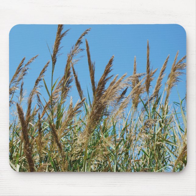 Reedgras auf einem See Mousepad (Vorne)