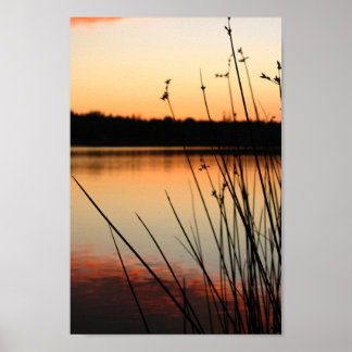 Reeds und Lakeside Reflektion bei Sonnenuntergang Poster