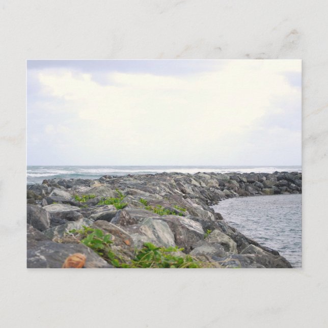 Reef_Dorado PR Postkarte (Vorderseite)