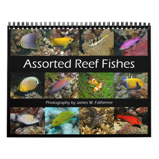 Reef Fisches Wall Calendar 1 von J.W. Vater Kalender (Titelbild)