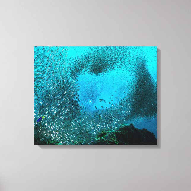 Reef Fish Cloud Leinwanddruck (Vorderseite)