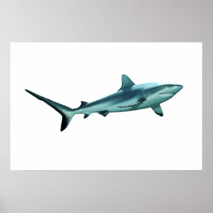 Reefshark - Abstraktes Design - Aus einem Foto sch Poster