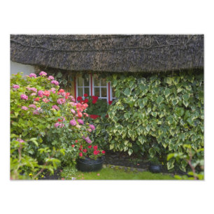 Reetgedecktes Cottage, Adare, County Limerick, Fotodruck