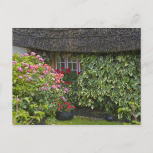 Reetgedecktes Cottage, Adare, County Limerick, Postkarte
