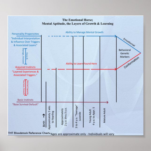 Referenzdiagramm für THT-Blutbestand Herdendynamik Poster (Vorne)