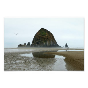 Reflection, Cannon Beach, Oregon Fotodruck
