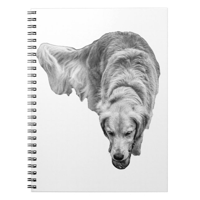 Reflection mattiert Dawn Notizblock (Vorderseite)