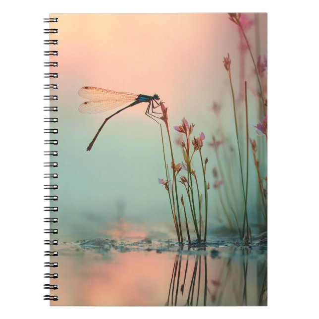 Reflection-Notebook Notizblock (Vorderseite)