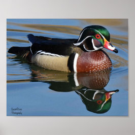 Reflection Throw Kissen Mouse Pad aus männlichem H Poster