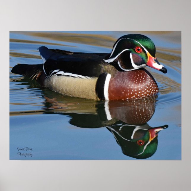 Reflection Throw Kissen Mouse Pad P Poster (Vorne)