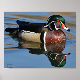 Reflection Throw Kissen Mouse Pad P Poster