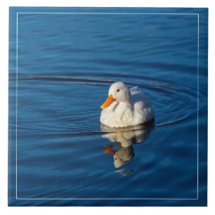 Reflections Fliese