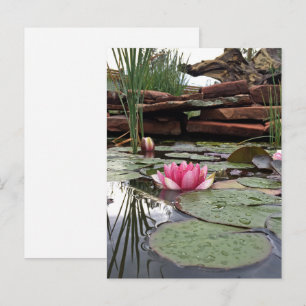 Reflections Pink Water Lilies Fotografie Postkarte
