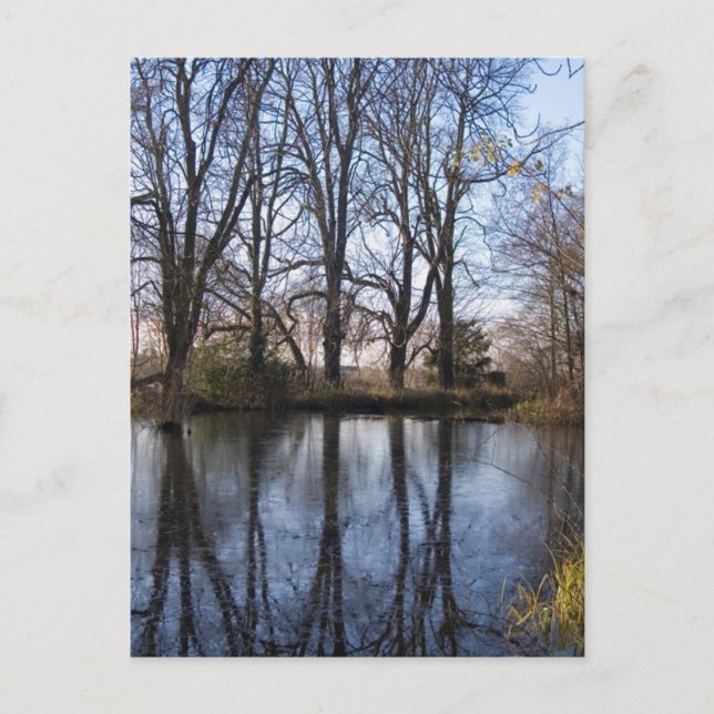 Reflections Postcard #1 Postkarte (Vorderseite)