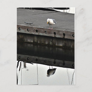 reflective Seagull Postkarte