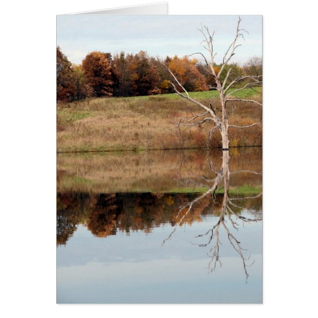 reflektieren (Vorne)