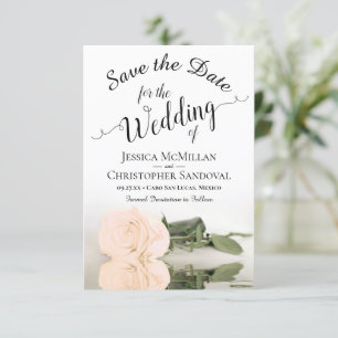 Reflektieren der blasspfirsichfarbenen Rose Romant Save The Date