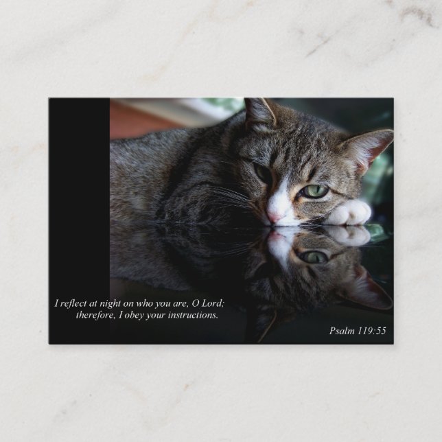 Reflektieren Sie (Katzen-) Geschäft oder Telefonnummerkarte (Vorderseite)