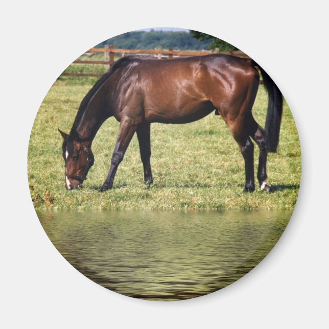 Reflektierende Bucht Magnet (Vorne)