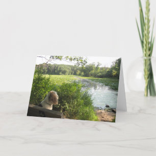 Reflektierende Karte Emmas