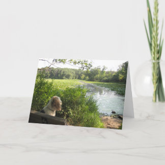 Reflektierende Karte Emmas