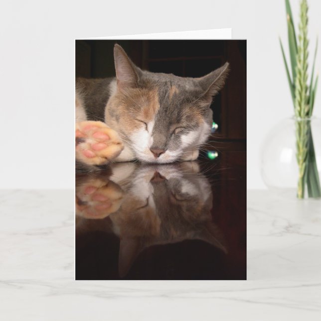 Reflektierende Miezekatze Karte (Vorderseite)
