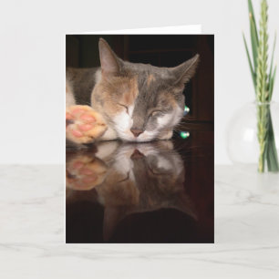 Reflektierende Miezekatze Karte
