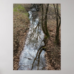 reflektiert poster